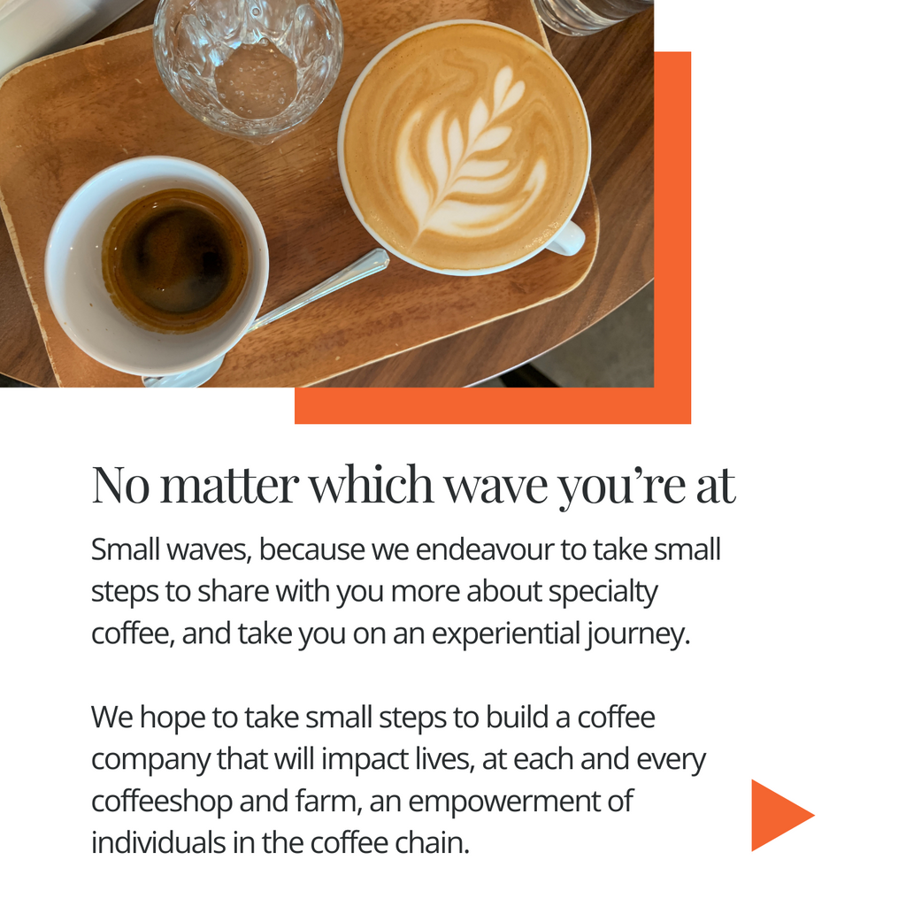 Waves are usually seen as huge - why small? – Small Waves Coffee Roasters