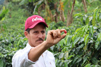 Luis Anibal Maragesha Natural
